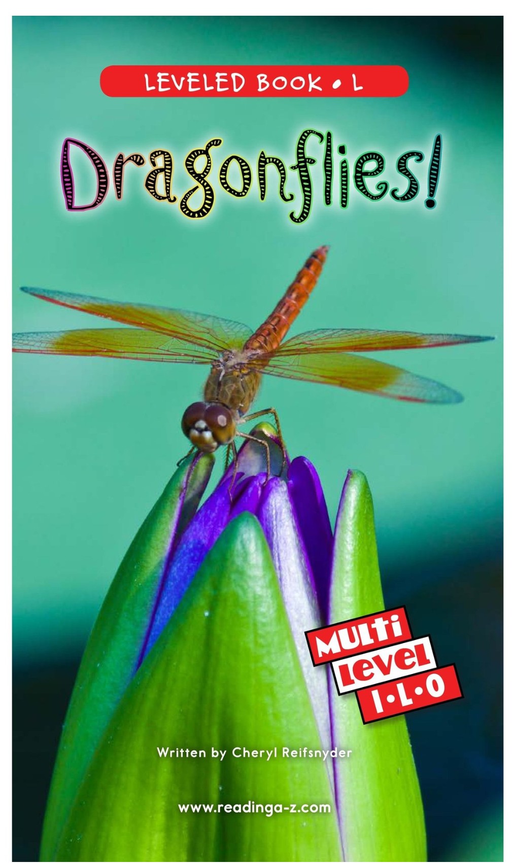 Dragonflies (RAZ L)