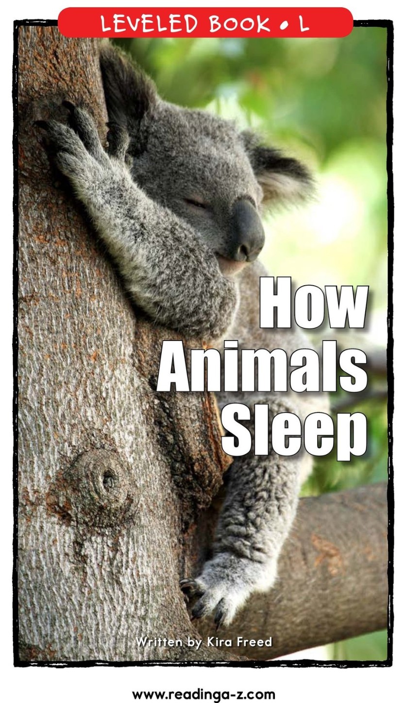 How Animals Sleep (RAZ L)