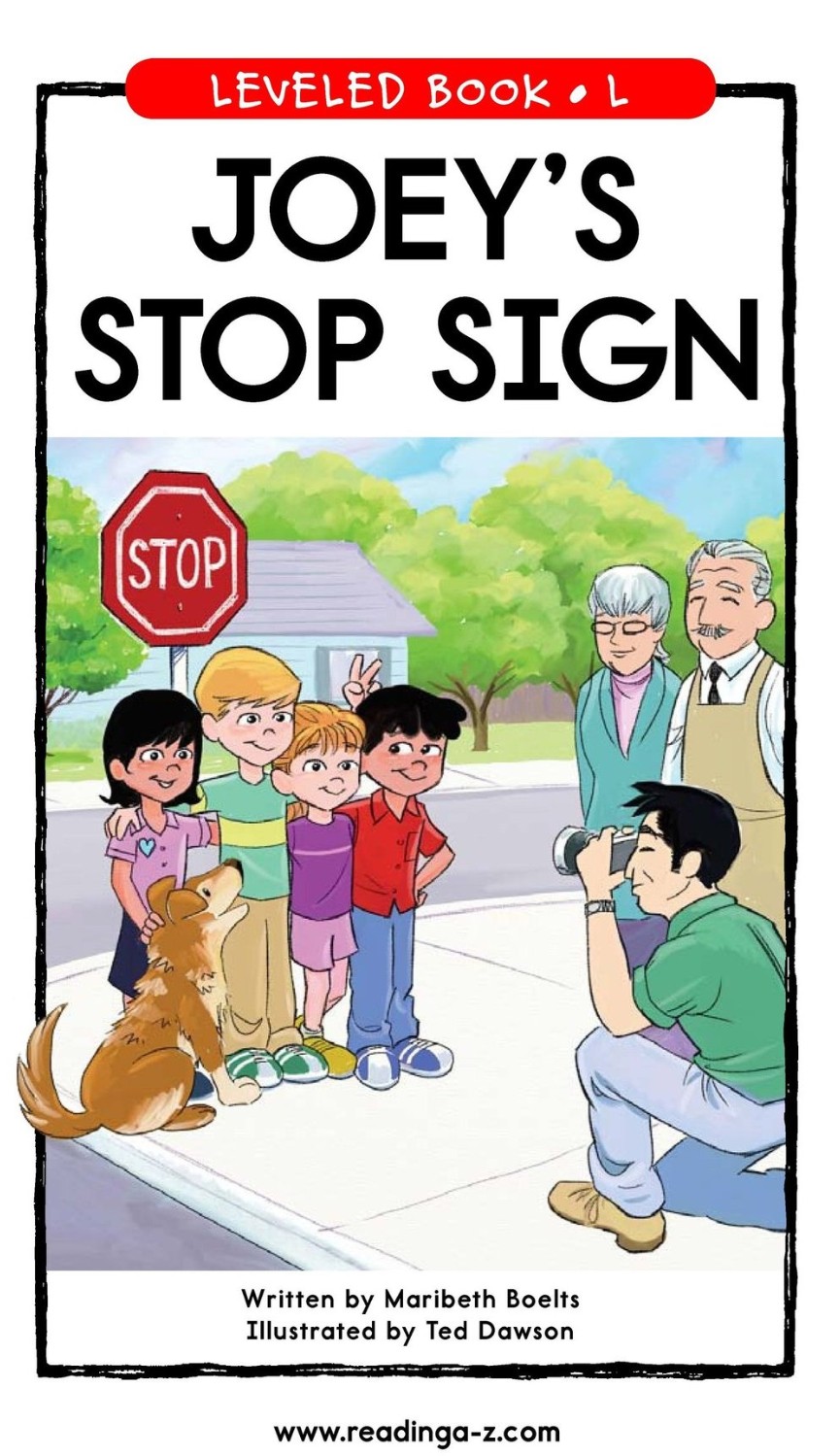 JOEY'S STOP SIGN (RAZ L)