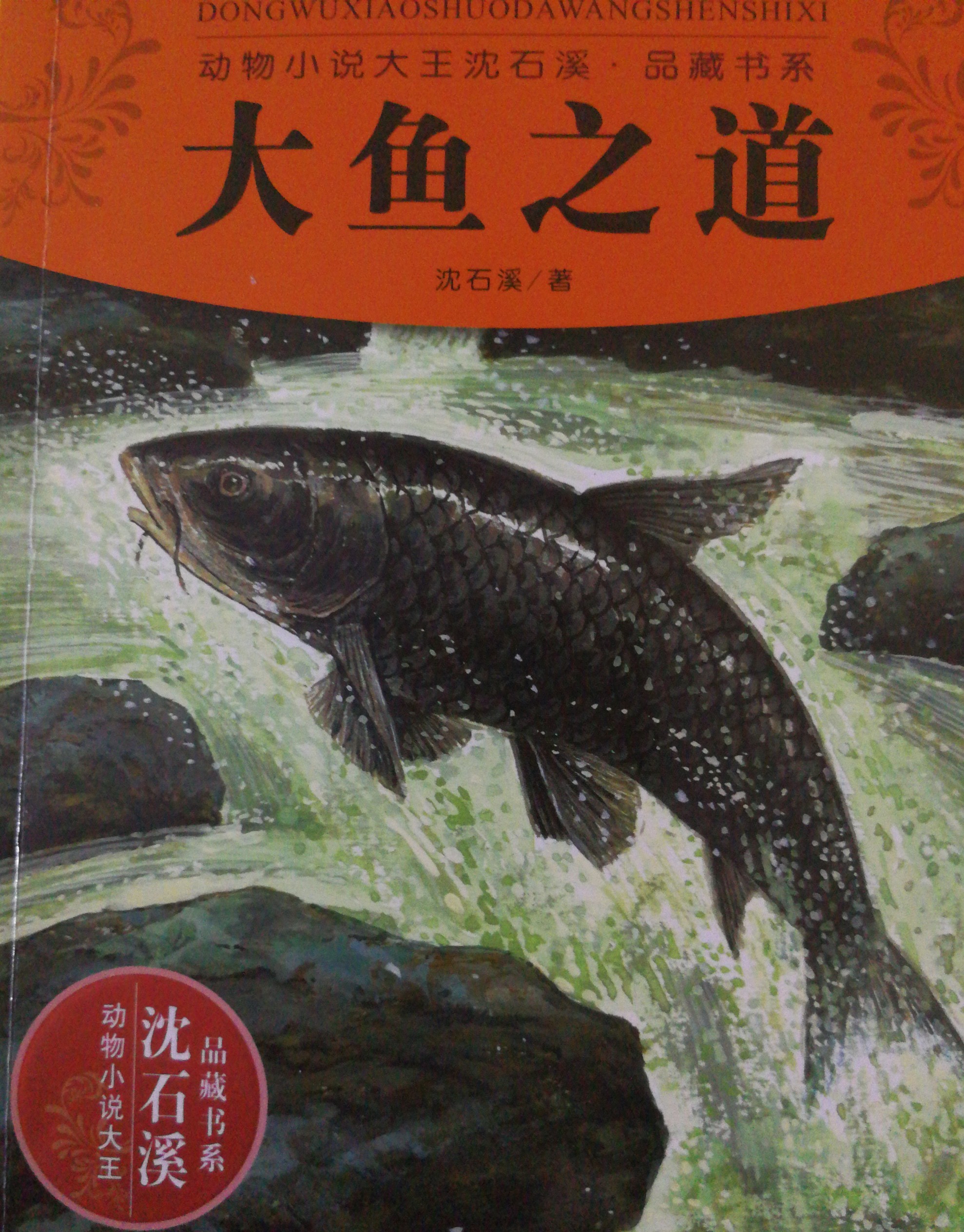 大魚之道