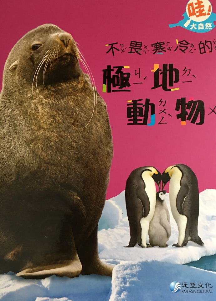 11.不畏寒冷的極地動物