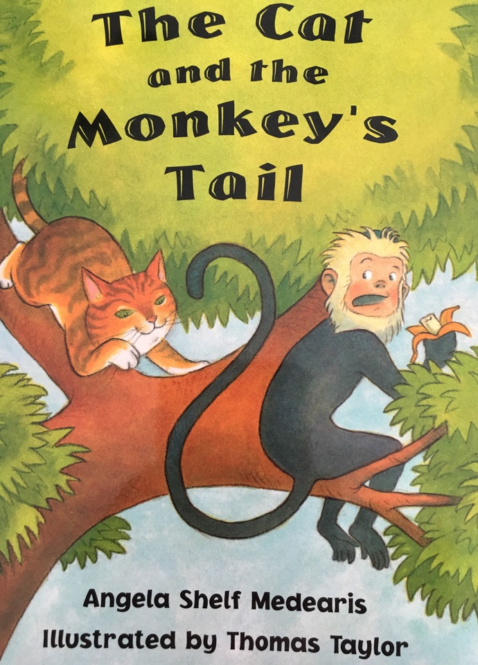 The cat and the monkey 's tail