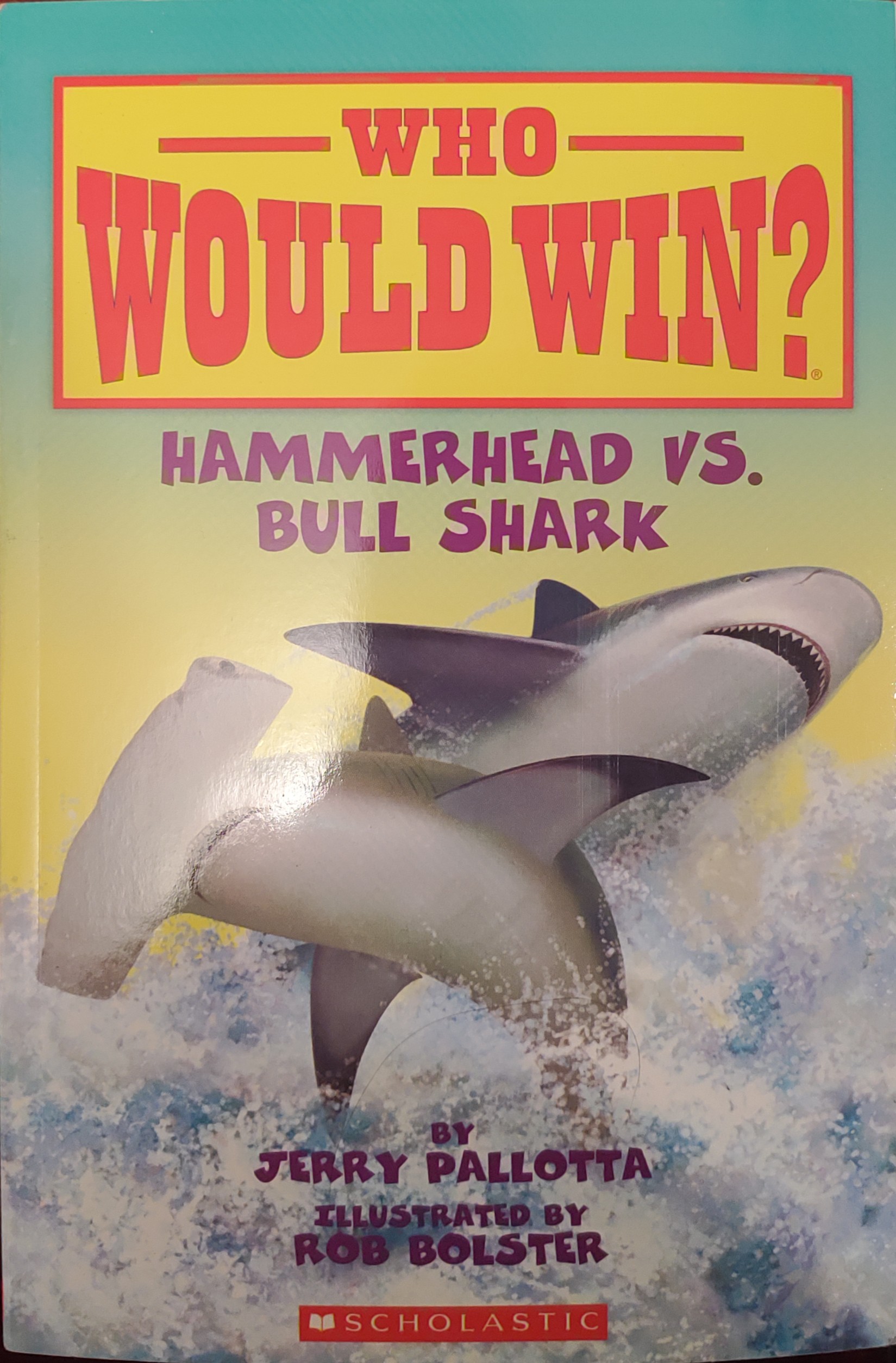 Who Would Win? Hammerhead VS Bull Shark