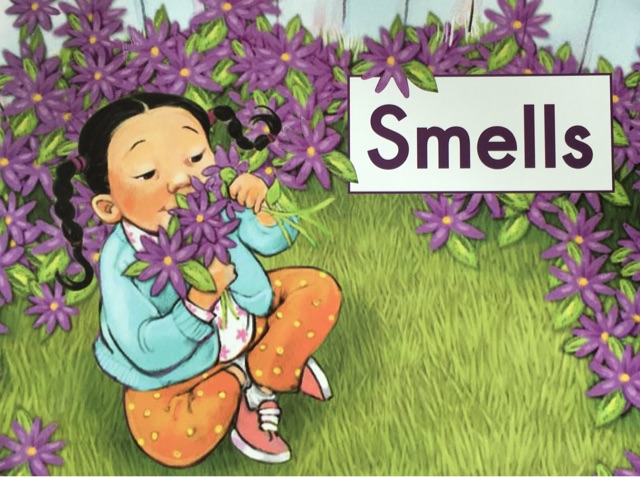 Smells