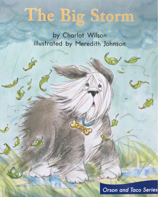 The Big Storm;  Grade 1 (Orson and Taco Series)