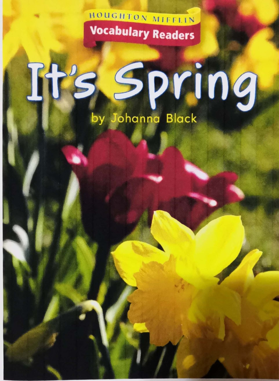 Houghton Mifflin Vocabulary Readers: Theme 9.1 Level K It's Spring