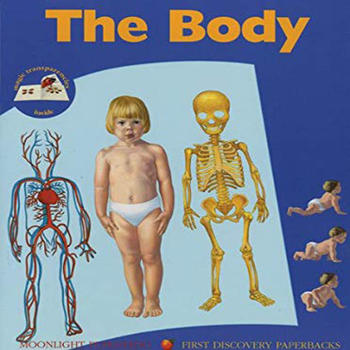 The Body