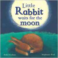 Little Rabbit Waits For The Moon