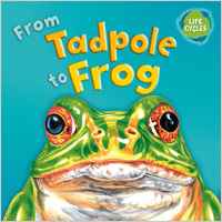 From Tadpole to Frog (Lifecycles)