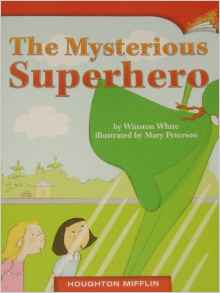 The Mysterious Superhero