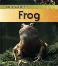 Frog (Life Cycle of a . . .)