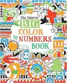 Big Color by Numbers Book