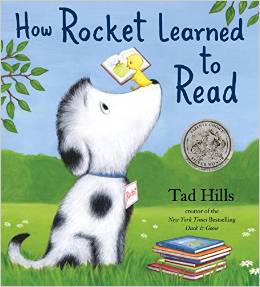 How Rocket Learned to Read