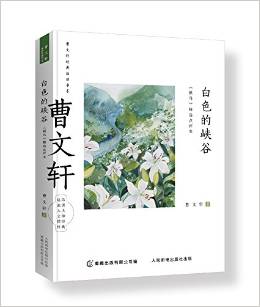 曹文軒經(jīng)典品讀書系 白色的峽谷 《根鳥》精選點(diǎn)評(píng)本