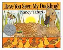 Have You Seen My Duckling?