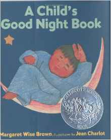 A Child's Good Night Book