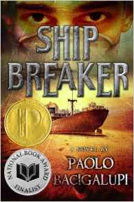 Ship Breaker