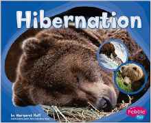 Hibernation (Patterns in Nature)