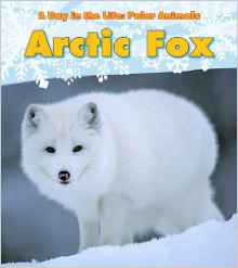 Arctic Fox (A Day in the Life: Polar Animals)