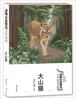 動物小說精品少年讀本:大山貓