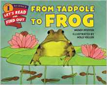 Let's-Read-and-Find-Out Science 1:From Tadpole to Frog