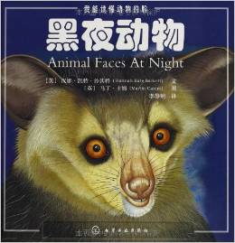 黑夜動物