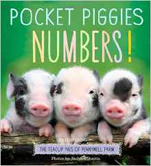 Pocket Piggies Numbers!: Featuring the Teacup Pigs of Pennywell Farm