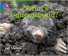 What’s Underground?(Collins Big Cat)