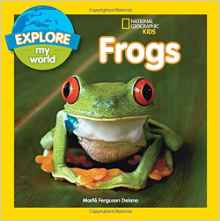 Explore My World Frogs