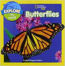 Explore My World Butterflies