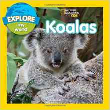 Explore My World Koalas