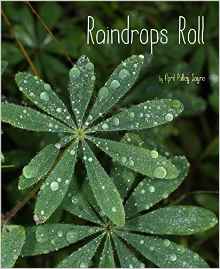 Raindrops Roll