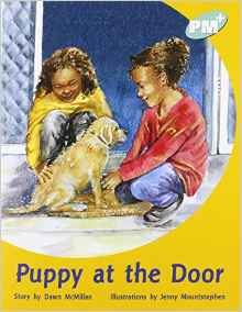 Puppy at the Door PM PLUS Level 18 Turquoise