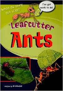 Rigby Sails Sailing Solo: Leveled Reader Leafcutter Ants