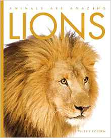 Lions (Animals are Amazing)