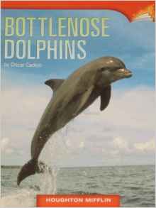 Bottlenose Dolphins