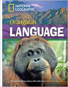 Orangutan Language