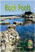 Rock Pools (Flying colours)