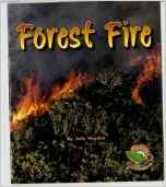 Forest Fire (Flying colours)