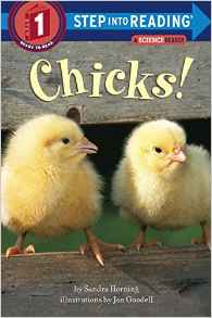 Chicks! (Step into Reading)