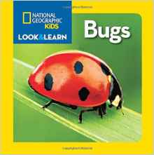 National Geographic Little Kids Look and Learn: Bugs