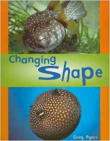 Rigby Literacy: Student Reader Grade 1 (Level 9) Changing Shape