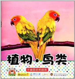 寶寶小畫書:植物·鳥類