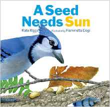 A Seed Needs Sun