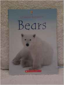 Usborne Beginners Bears