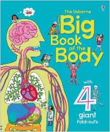 Big Book of the Body (Big Books)