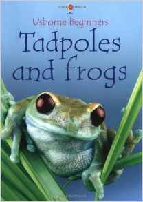 Tadpoles and Frogs (Usborne Beginners)