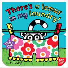 Slide and Seek: There's a Lemur in My Laundry