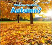 What Can You See in Autumn? (Acorn: Seasons)