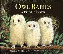 Owl Babies